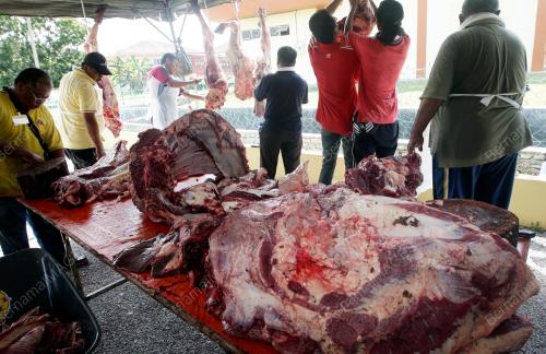 SAMBUTAN AIDILADHA