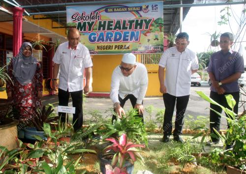 TAMAN HERBA DAN SAYUR-SAYURAN