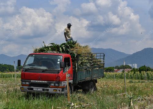 TINJAUN CUACA PANAS DI IPOH