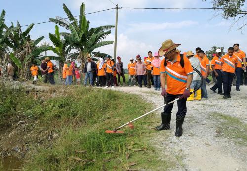 PK05_23032017_POTONG_RUMPUT