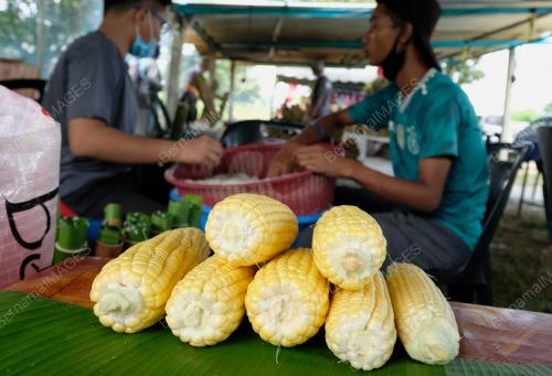LEMANG PAKLONG