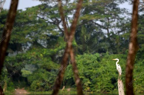 PK05_25072018_TAMAN_ALAM