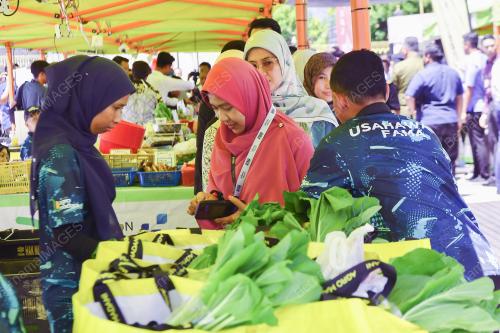 JUALAN AGRO MADANI@SUK PERAK