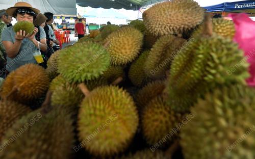 PK05_27072018_FAMAFEST