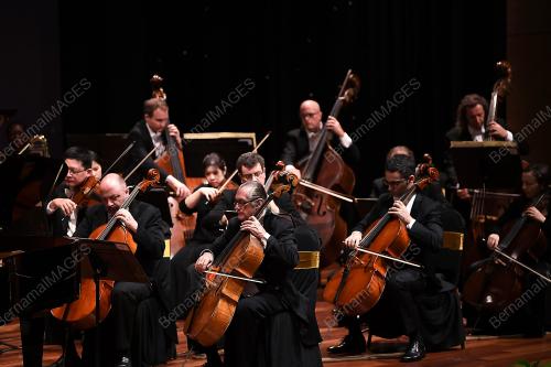 PK05_28062019_OKESTRA_BBN201906273470