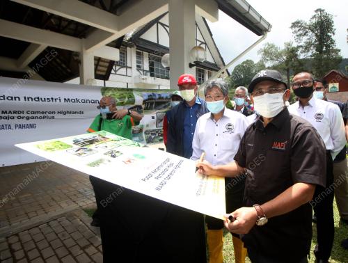 DATUK SERI DR RONALD KIANDEE