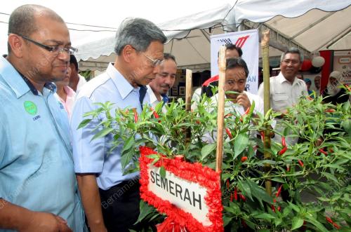 MUSTAPA MOHAMED