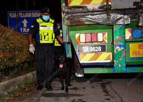 PENGLIBATAN UNIT K9 DI SEKATAN JALAN RAYA