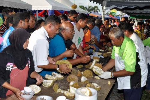 PK06_01012012_LKIM_DURIAN