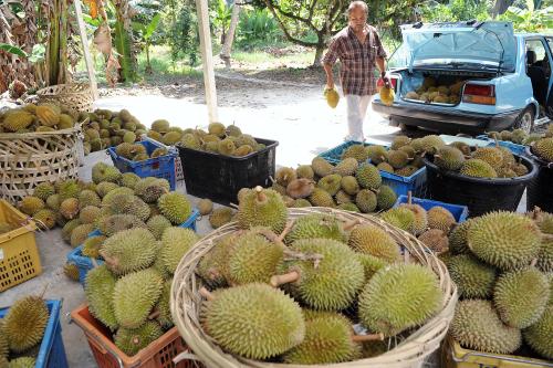 PK06_02072014_DURIAN