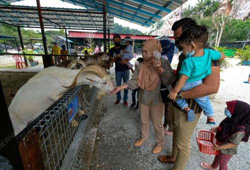 TINJAUAN OPERASI MINI ZOO