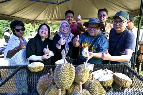 PENGAMAL MEDIA