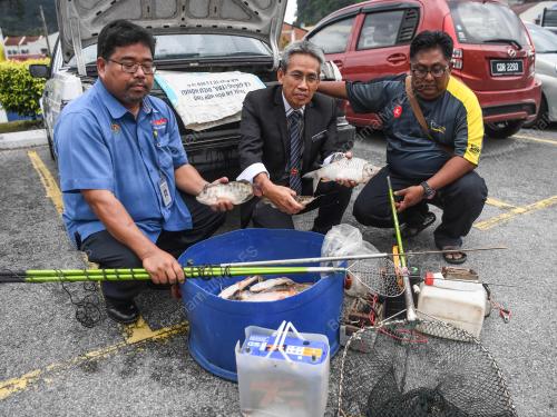 PK06_05122018_IKAN