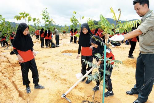 PK06_07112013_PELAJAR_POKOK