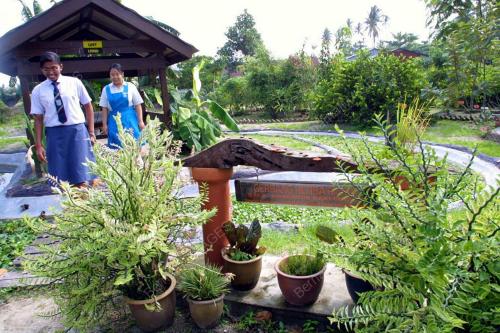 LAMAN SAINS