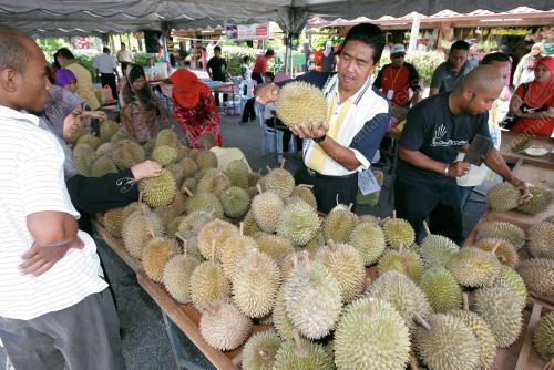 PESTA DURIAN