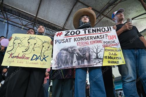 HIMPUNAN SELAMATKAN DAK