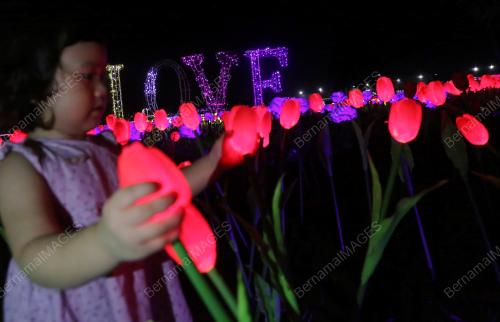 PESTA FLORA BERLAMPU DI SILVERLAKE VILLAGE OUTLET