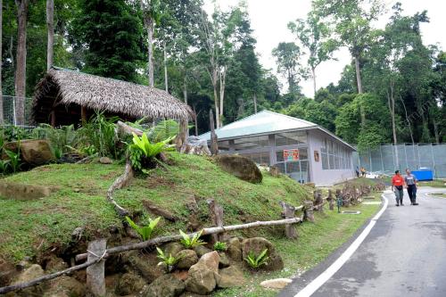 PK06_12082014_HARIMAU