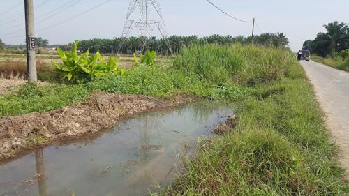 PK06_13072016_SAWAH1