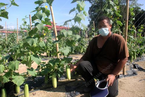 PK06_15052021_TIMUN
