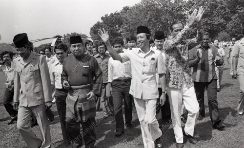 MUSA HITAM