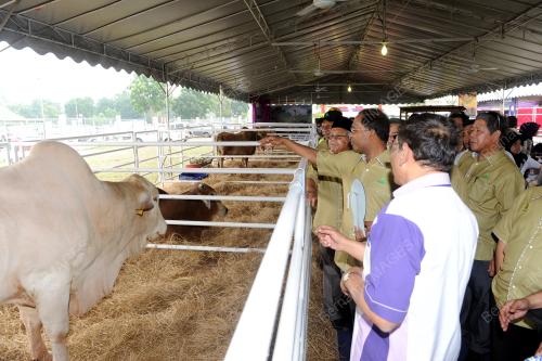 PK06_17092015_AGROFEST