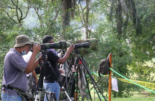 PEMINAT BURUNG MIGRASI