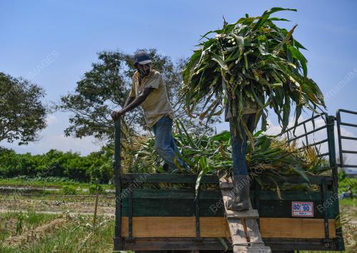 TINJAUN CUACA PANAS DI IPOH