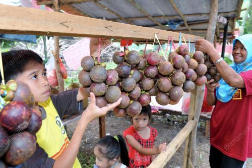 PK06_22112012_MANGGIS