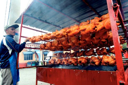 PENIAGA AYAM GOLEK