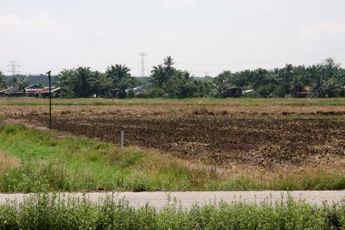 PK06_26032019_ESTET