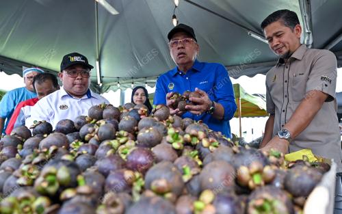 DATUK MOHD ZOLKAFLY HARUN