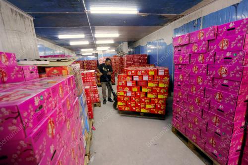 TINJAUAN SEMPENA TAHUN BARU CINA AKAN DATANG