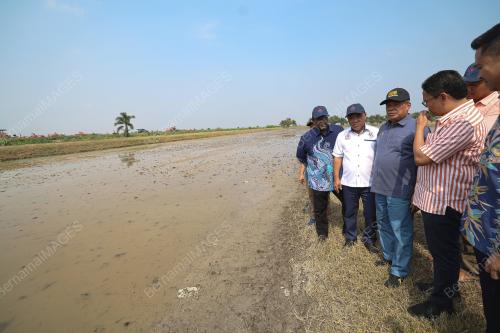 DATUK SERI MOHAMAD SABU