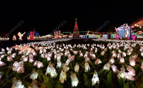 PK07_02032018_FLOM
