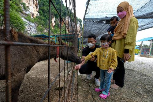 TINJAUAN OPERASI MINI ZOO