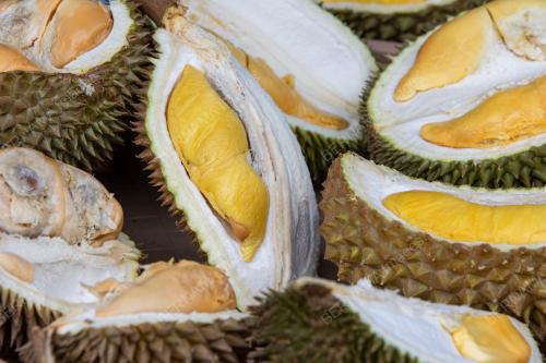 SESI RAMAH MESRA KOMUNITI DURIAN BERSAMA MEDIA PERAK