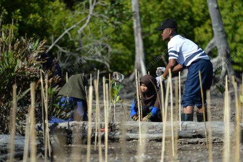 PK07_08042017_BAKAU