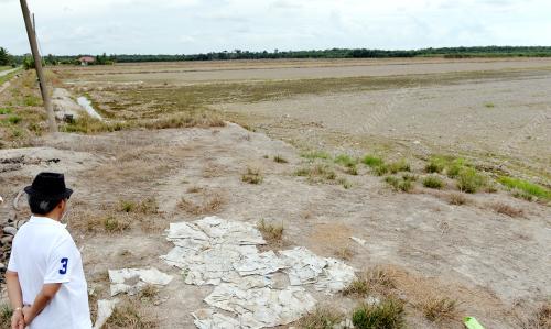 PK07_09102016_SAWAH