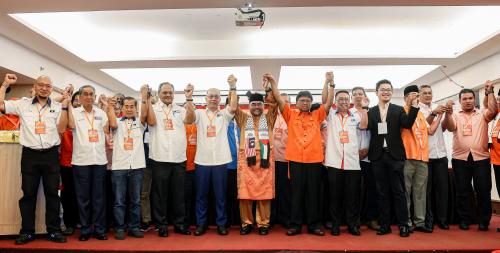 DATUK SERI MUJAHID YUSOF RAWA