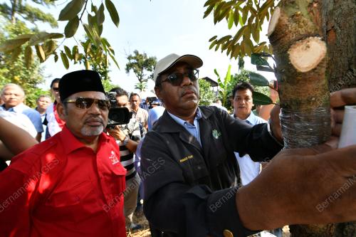 PK07_11022018_PASAR