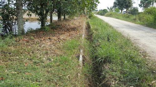 PK07_13072016_SAWAH1