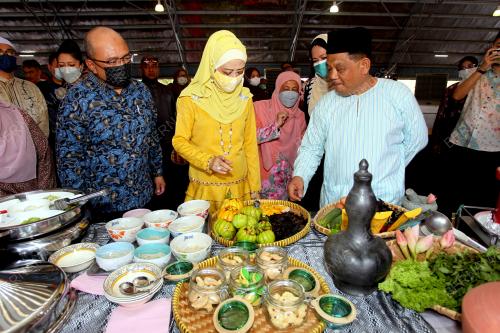 RAJA NAZHATUL SHIMA SULTAN IDRIS SHAH