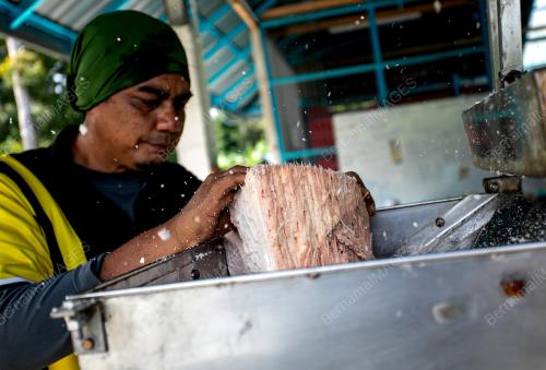 MOHD ZAMRIZAL MAT NORDIN
