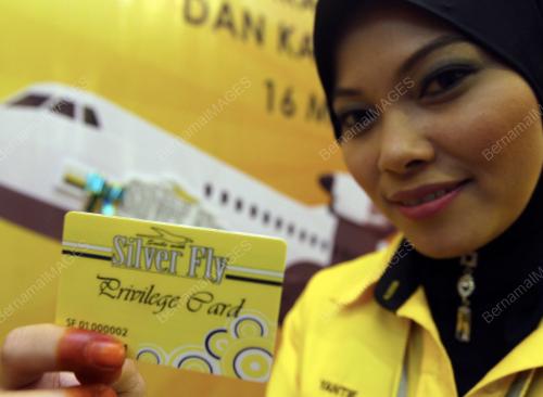 SILVER FLY