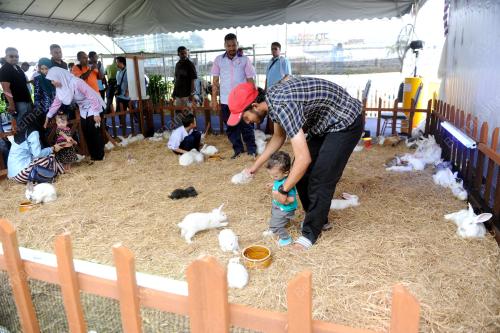 PK07_17092015_AGROFEST