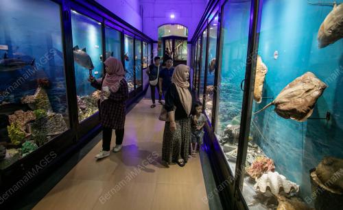 MUZIUM PERAK