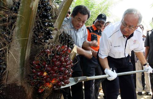 MOHD NAJIB TUN ABDUL RAZAK