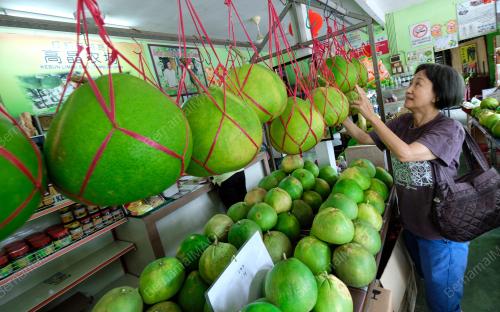 LIMAU BALI IPOH